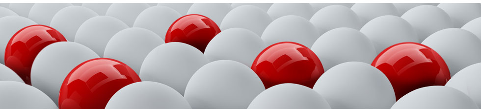 excellence contacter